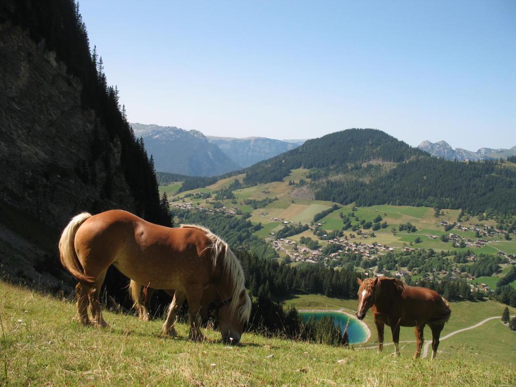 Hôtel Bellachat La Clusaz Buitenkant foto